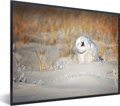 Produktbild von MuchoWow® MuchoWow® Gerahmtes Poster Eule - Schnee - Düne 40x30 cm - Poster mit zchwarzem Bilderrahmen - Kunstposter - Wanddekorationen