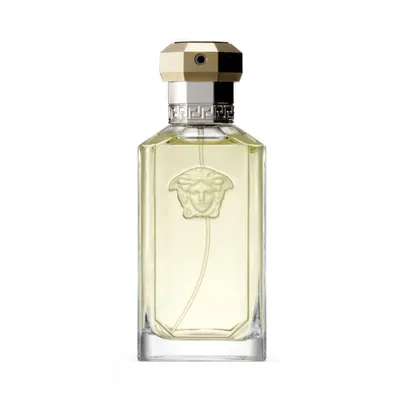 Obrázek produktu pro Versace The Dreamer - Mužská toaletní voda 100 ml