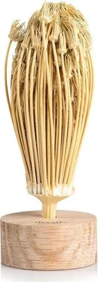 Produktbild von Natürliche Zahnkuren aus Marokko