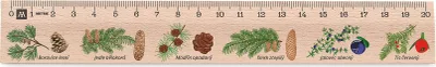 Obrázek produktu pro Metrie | Didakt-M02, Dřevěné pravítko s potiskem | Jehličnany | 20 cm