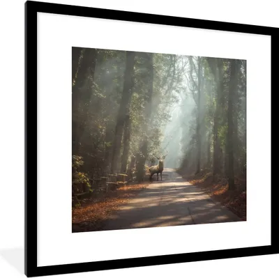 Produktbild von MuchoWow® Gerahmtes Poster Hirsche - Wald - Sonnenstrahlen 40x40 cm - Poster mit Schwarzem Bilderrahmen Wandposter Rahmen Foto Bilder - Poster - Plakat im Rahmen