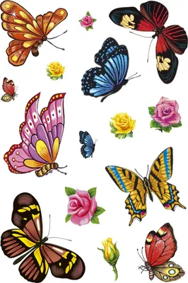 Obrázek produktu pro Tetování HERMA CLASSIC "Colour Butterflies"