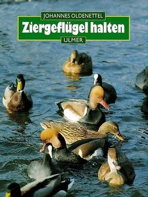 Produktbild von Ziergeflügel halten. Hühner- und Entenvögel
