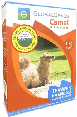 Zdjęcie produktu dla Mieszanka Trawna Camel 1Kg