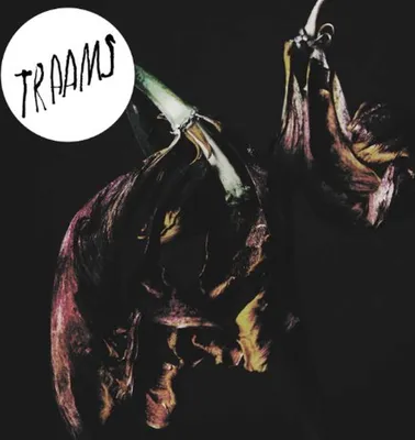 Produktbild von Traams-Grin (LP)