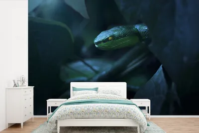 Obrázek produktu pro MuchoWow® Fototapety do obývacího pokoje nebo ložnice tapety vinylové motivy tapety Had - Makro - Dřevo 330x220cm