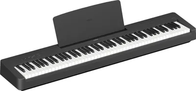 Obrázok produktu pre Yamaha P-145BT