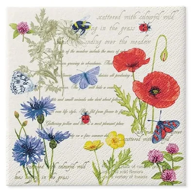 Immagine prodotto di Tovagliolo per decoupage Vintage Estate 33 × 33 cm, 3 veli