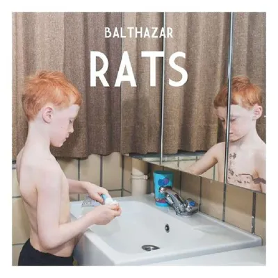 Image de Rats