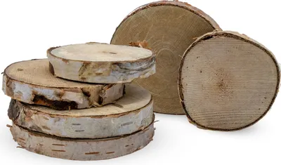 Immagine prodotto di Disco in legno di betulla con corteccia piccola in vero legno 7 cm - 15-17 pezzi - Disco di betulla per il crafting e la decorazione