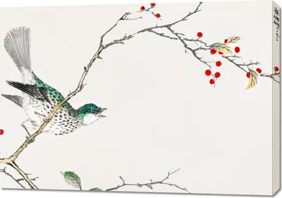 Produktbild von Bild 100x70cm Braunkopf-Bulbul, Kashu Vintage für das Wohnzimmer