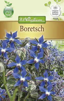 Produktbild von Boretsch | Borretschsamen von N.L. Chrestensen