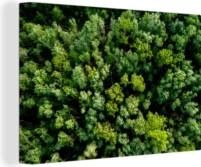 Produktbild von OneMillionCanvasses® - Leinwandbilder - 140x90 cm, Baum - Wald - Grün, Wandbilder Kunstdruck Wanddekoration