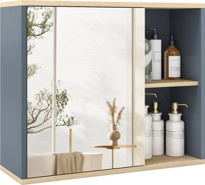Image de Armoire murale de salle de bain avec miroir et étagère réglable