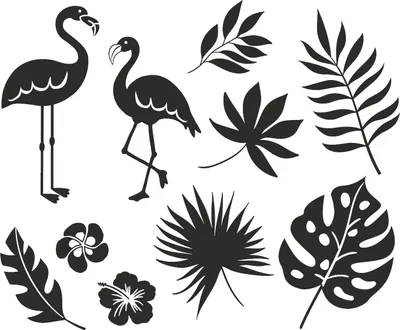 Produktbild von HEYDA 204888684 Stempel-Set Dschungel 12 x 10 x 3 cm Holz