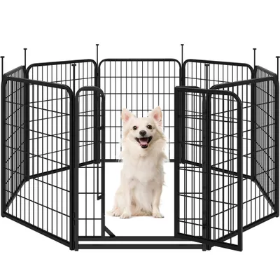 A white dog sits inside a black metal playpen.