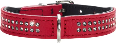 Produktbild von Hunter Halsband Diamond Petit rot/schwarz, Größe: 24 cm / Breite: 1,6 cm
