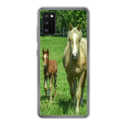 Produktbild von MuchoWow® Handyhülle Schutzhülle Hülle für Samsung Galaxy A41 Pferd - Fohlen - Tiere Silikon Softcase Handy Hülle - Mobiltelefon