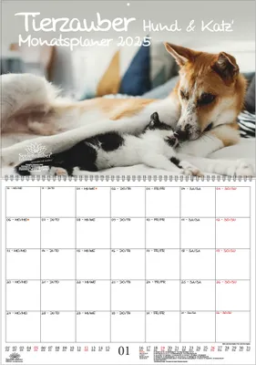 Produktbild von Tierzauber Hund und Katz Planer DIN A2 Kalender für 2025 Katzen und Hunde - Seelenzauber