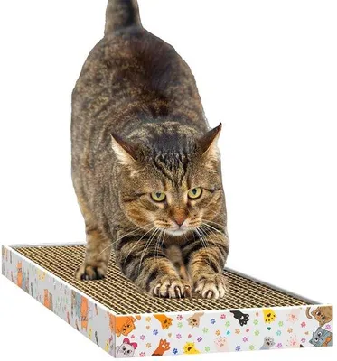 Image de Griffoir pour chats 46,5 x 17,5 x 3,4 cm en carton - Soin des griffes