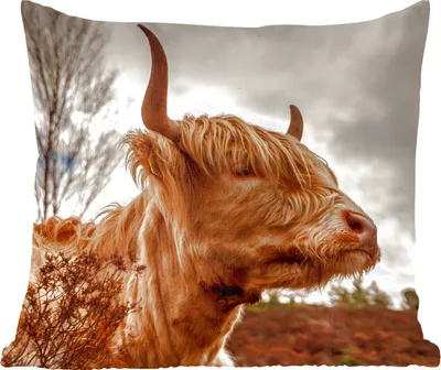 Produktbild von MuchoWow® Zierkissen Sofakissen Wohnzimmer Dekokissen 50x50 cm Scottish Hochlandrind - Strauch - Heidekraut - Komfort - Sofakissen