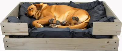 Produktbild von Hundebett Rocky Natur mit grauem Kissen 80x50x21cm