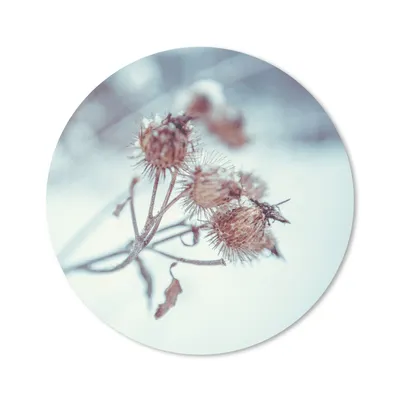 Produktbild von MuchoWow® Mauspad Mousepad Pflanzen - Winter - Schnee - Natur 30x30 cm - Mousepads - Maus Mat - Pad - Mausunterlage - Tischunterlage - Schreibtischmatten