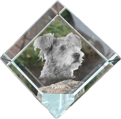 Zdjęcie produktu dla Pumi kostka kryształowa z psem Art-Dog