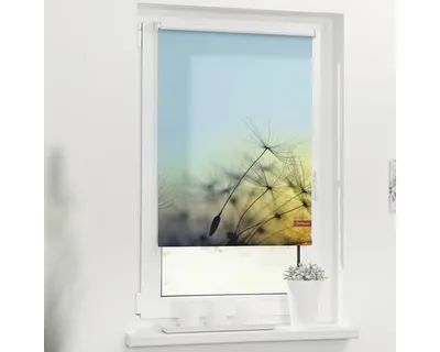 Obrázek produktu pro Roleta na okno Lichtblick bez vrtání Pampeliška 100x150 cm včetně upínacích držáků
