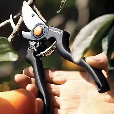 Produktbild von Gartenschere 'Pro'