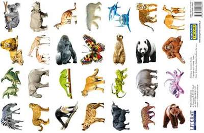 Immagine prodotto di Adesivi Animali del mondo