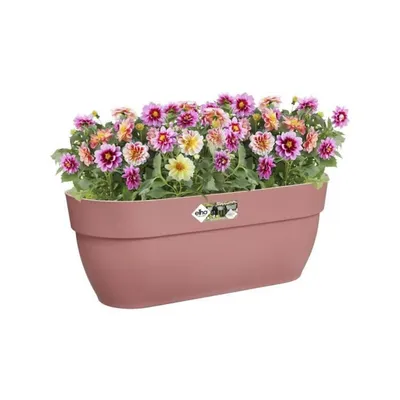 Obrázok produktu pre elho 8711904498047, Plast, Ružová, Obdĺžnik, Vonkajší, 100%, 100%