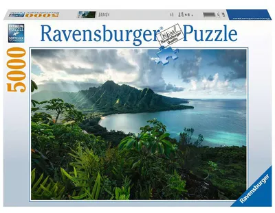 Zdjęcie produktu dla Ravensburger 16106, 5000 szt., Flora, 14 lat(a)