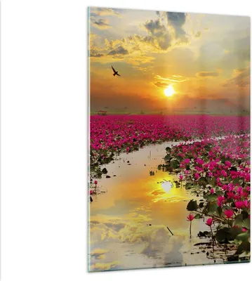 Produktbild von Bilder auf glas - Einteilig - See Blumen - 80x120cm - Glasbilder - Wandbilder - Bilder - Kunstdruck - zum Aufhängen bereit - Wanddekoration aus Glas - Glas Bilder - Wandbild auf Glas - GPA80x120-3769