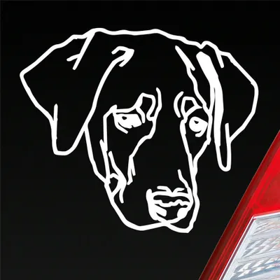 Produktbild von Auto Aufkleber Labrador Labi Labbi Hund Dog 12x10 cm Weiss Matt Sticker Heckscheibenaufkleber