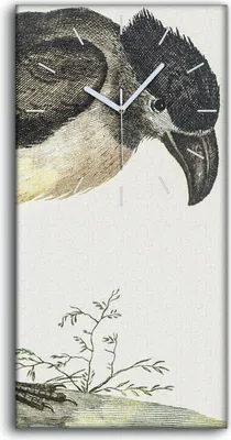 Produktbild von Dekor Leinwand Uhr Wandbilder Geräuschlos 30x60 Zeichnung Tier Vogel Kunst - weiße Hände