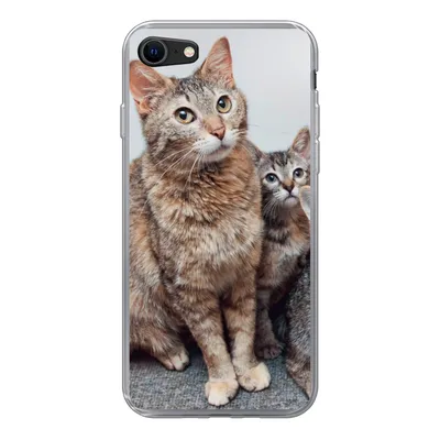 Produktbild von MuchoWow® Handyhülle Schutzhülle Hülle für iPhone SE 2022 Katze - Kätzchen - Fell Silikon Softcase Handy Hülle - Schutzhülle