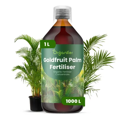 Obrázek produktu pro Goldfrucht Palma Tekuté Hnojivo 1 L – 2-1-8 NPK – Pro Pokojové Palmy – Podporuje Silný Růst Listov, Zdravé Kořeny & Štruktúru – Organifer