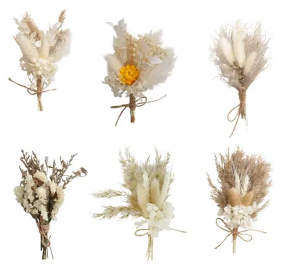 Mini-Trockenblumen-Bouquet, 6 Stück, 25 cm, Natur