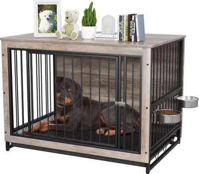 A dog kennel with a dog inside, placed on a white background with some decorative items on top.