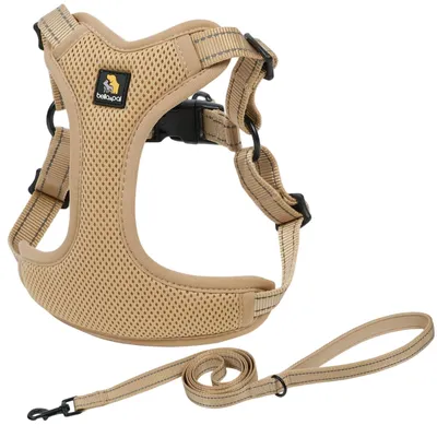 Imagen del producto de Arnés y correa para perros: ajustable y transpirable, ideal para perros pequeños