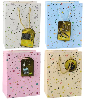 Productafbeelding van Student Leraar Cadeauzakje 23 X 18 X 10,5 Cm