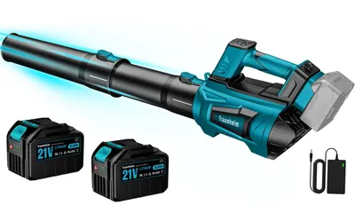A cordless leaf blower with two batteries and a charger, presented on a white background.