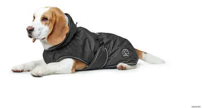 Produktbild von HUNTER Hundemantel Uppsala 45, schwarz