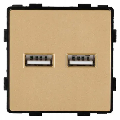 Produktbild von DC Smart Home USB-Ladegerät Modul 3.1A Gold für Rahmen