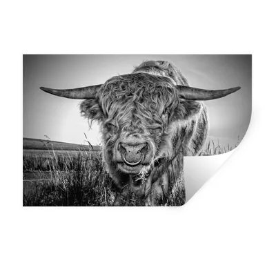 Produktbild von MuchoWow® Wandtattoo Wandsticker Wandaufkleber Schottischer Highlander - Schwarz und Weiß 30x20 cm Selbstklebend und Repositionierbar - Wierderverwendbar - Selbstklebend