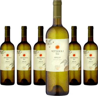 Produktbild von 6 x Settesoli Grillo