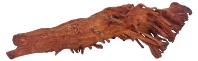 Produktbild von M Jungle Wood Wurzel Nr.4443 Holz Deko Aquascaping