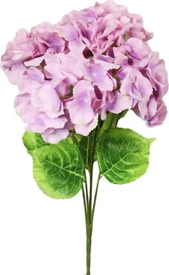 Immagine prodotto di Bouquet di quattro ortensie giglio-rosa di 50 cm