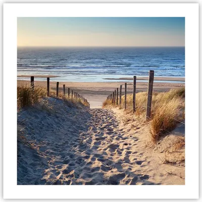 Produktbild von Poster - Poster ohne Rahmen - Meer Strand Düne - 50x50 cm - Wand Bild - Wanddeko - Wandbilder - Kunstposter - Wandposter - Bilder - Kunstdruck - Wanddekoration - Wandbild - P2XAC50x50-3612